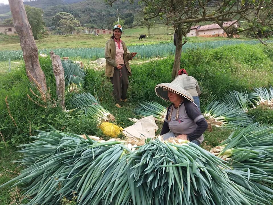 agroecology climate venezuela